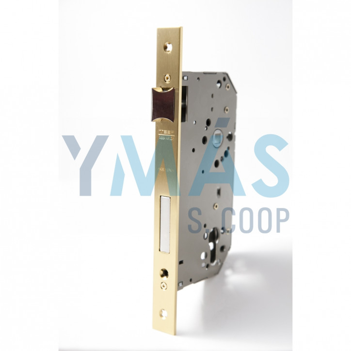 CERRADURA EMBUTIR TESA 2030 LATON 60MM