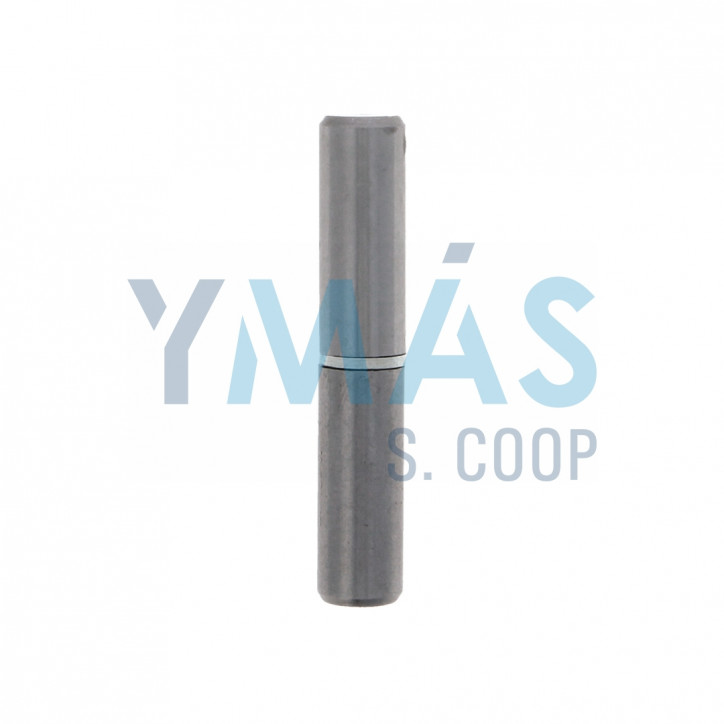 PERNIO ACERO PULIDO 3-50 X 10